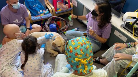Sesi&oacute;n de terapia con animales en el Reina Sof&iacute;a