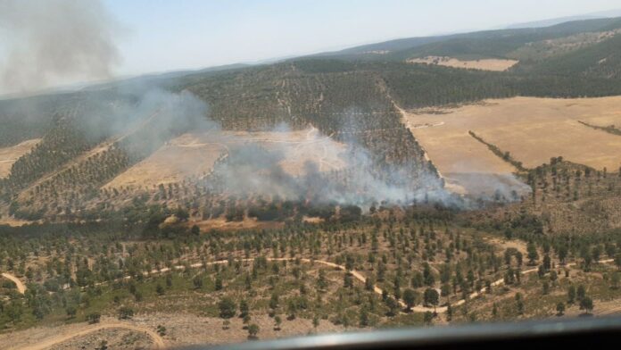 Investigan a dos personas como supuestos autores del incendio forestal en Almadén Investigan a dos personas como supuestos autores del incendio forestal en Almadén