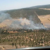 Incendio de Almadén Incendio de Almadén