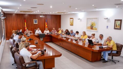 Pleno de ALfaz