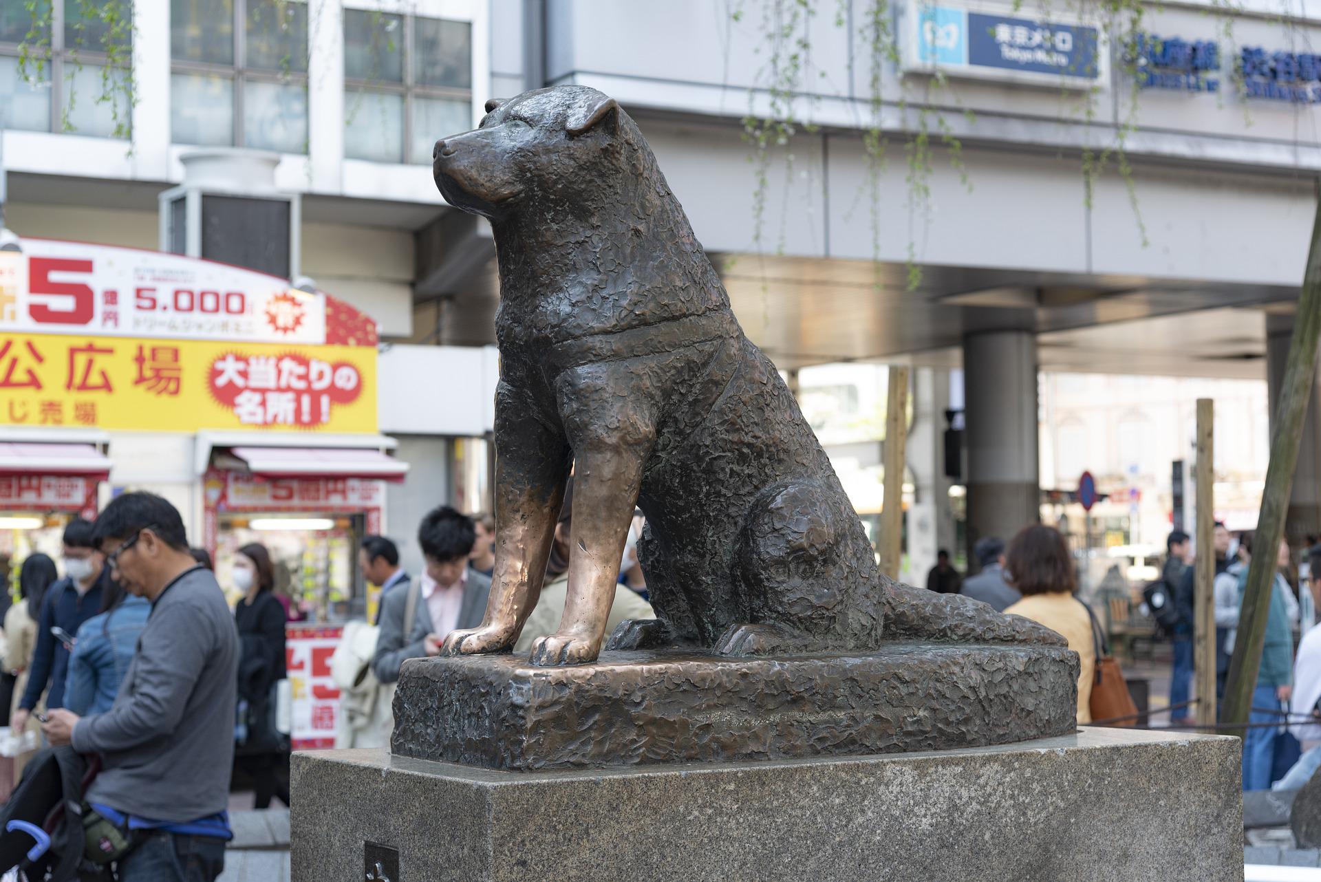 La historia de Hachiko, el perro que fue fiel más allá de la muerte de su dueño La historia de Hachiko, el perro que fue fiel más allá de la muerte de su dueño