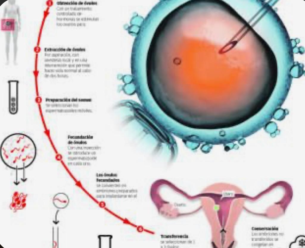 Un estudio del IVI sugiere que la vacuna contra la Covid-19 no afecta a las tasas de éxito de los tratamientos reproductivos Un estudio del IVI sugiere que la vacuna contra la Covid-19 no afecta a las tasas de éxito de los tratamientos reproductivos