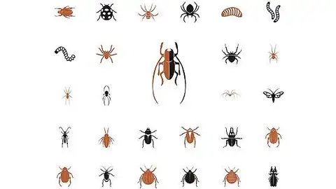 Imagen de un fragmento del libro 'Un zoo en casa' Imagen de un fragmento del libro 'Un zoo en casa'