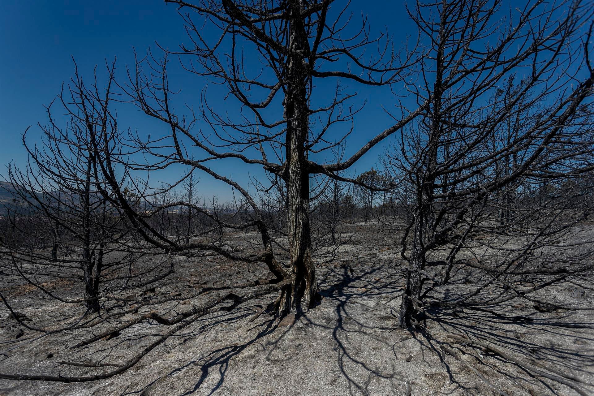 Qué es el 'final climático' del que alertan los expertos y por qué debe prepararse todo el mundo Qué es el 'final climático' del que alertan los expertos y por qué debe prepararse todo el mundo