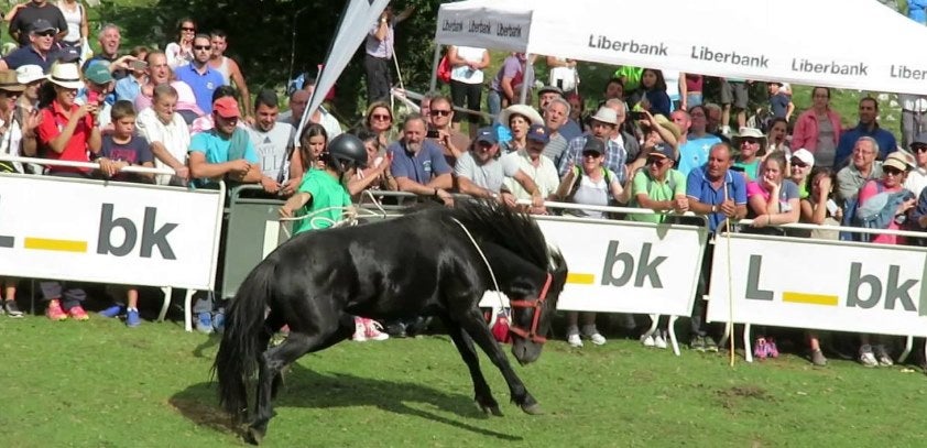 Asturias Ganadera solicita permiso para concentrarse en la Fiesta del Asturcón Asturias Ganadera solicita permiso para concentrarse en la Fiesta del Asturcón