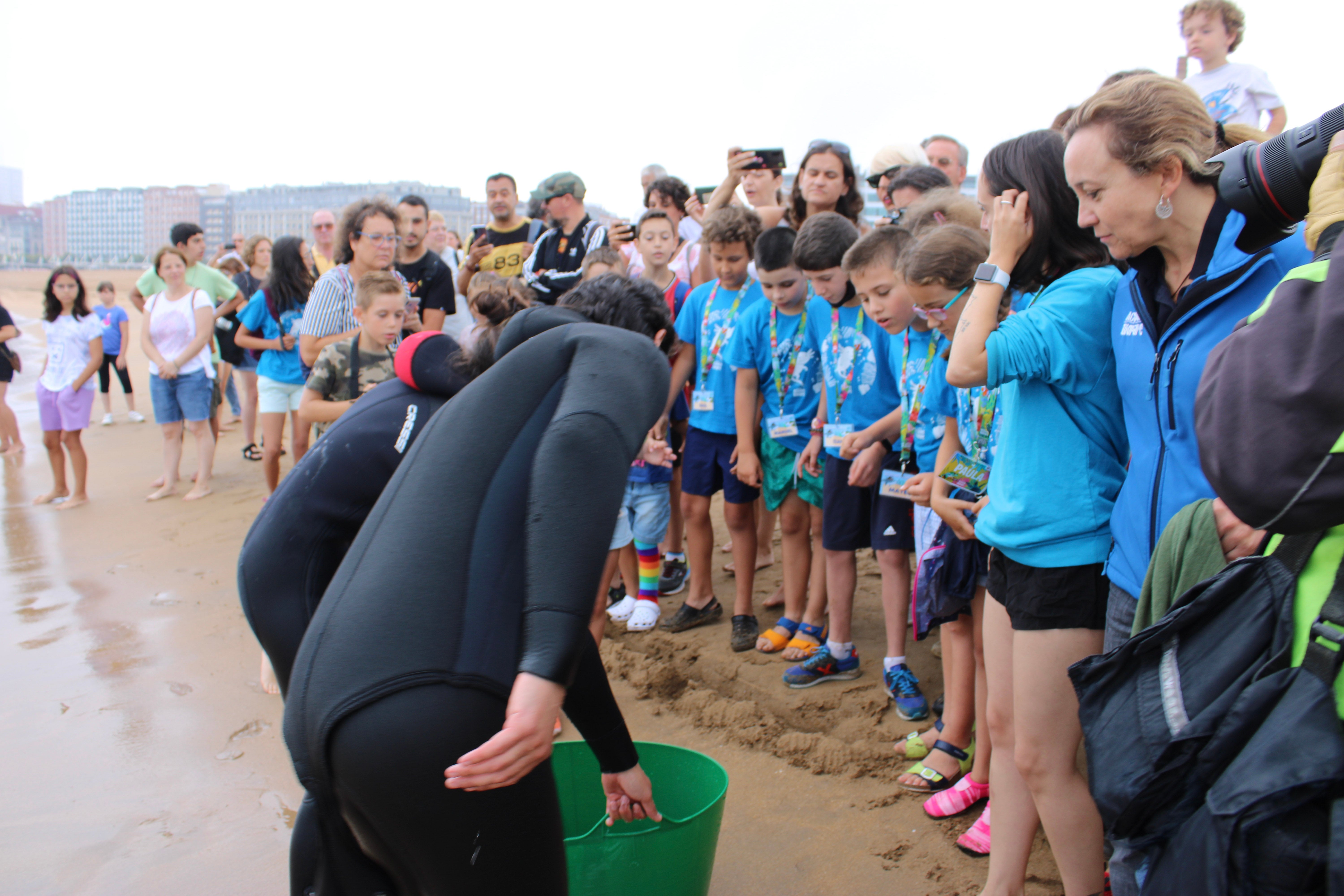 30 rayas mosaico ya nadan en el Cantábrico 30 rayas mosaico ya nadan en el Cantábrico