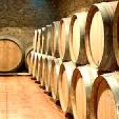 Barricas de vino Montilla-Moriles