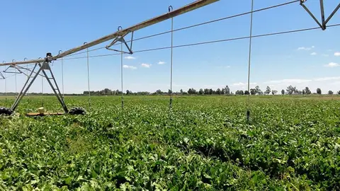 Zona de regadío Zona de regadío