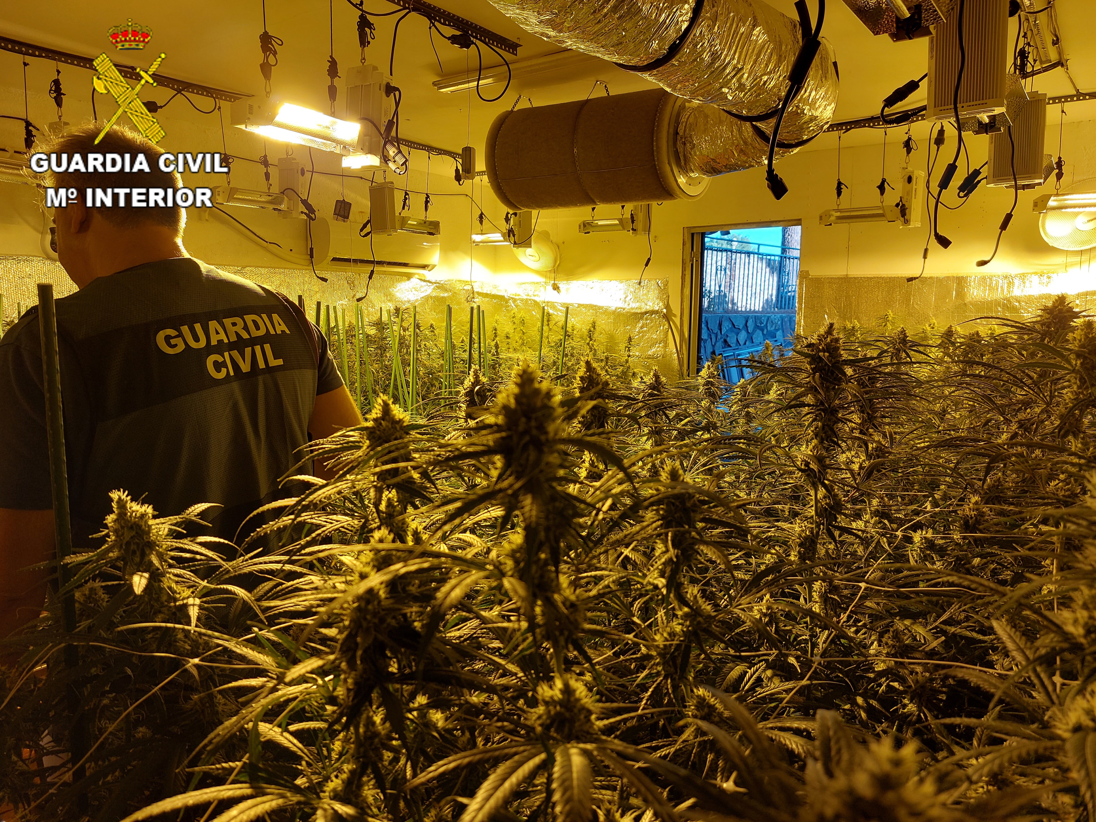 La Guardia Civil desarticula un grupo criminal dedicada al tráfico de drogas La Guardia Civil desarticula un grupo criminal dedicada al tráfico de drogas