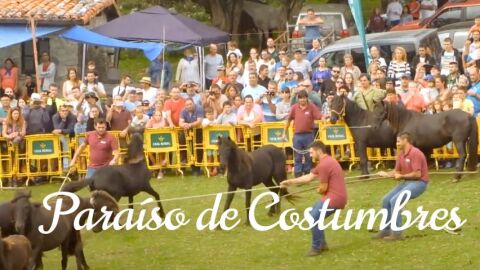 Para&iacute;so de Costumbres