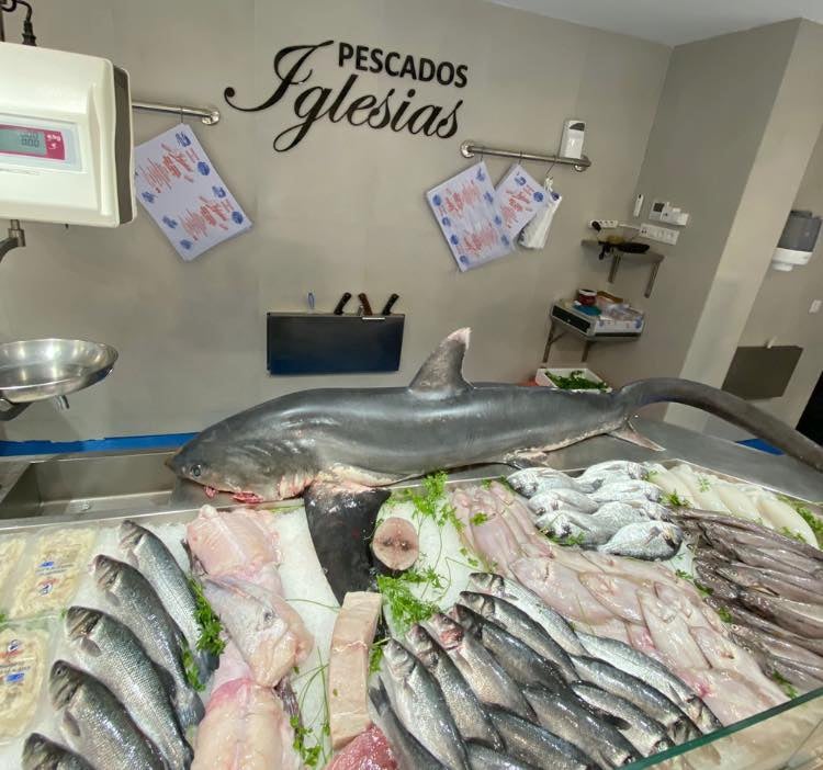 Un tiburón zorro en una pescadería de Santa Isabel Un tiburón zorro en una pescadería de Santa Isabel