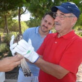 Diez ejemplares de aves y mamíferos recuperan la libertad en el parque de El Recorral de Rojales