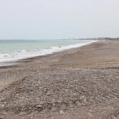sagunto almarda sagunto almarda