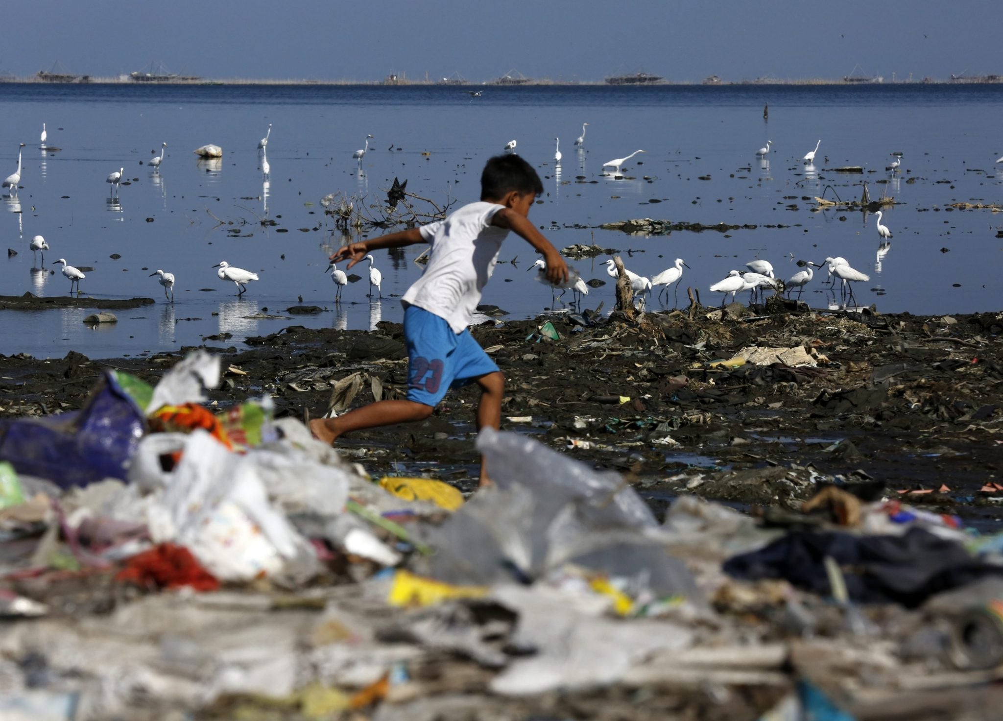 El plástico ya representa el 85% de la basura marina El plástico ya representa el 85% de la basura marina