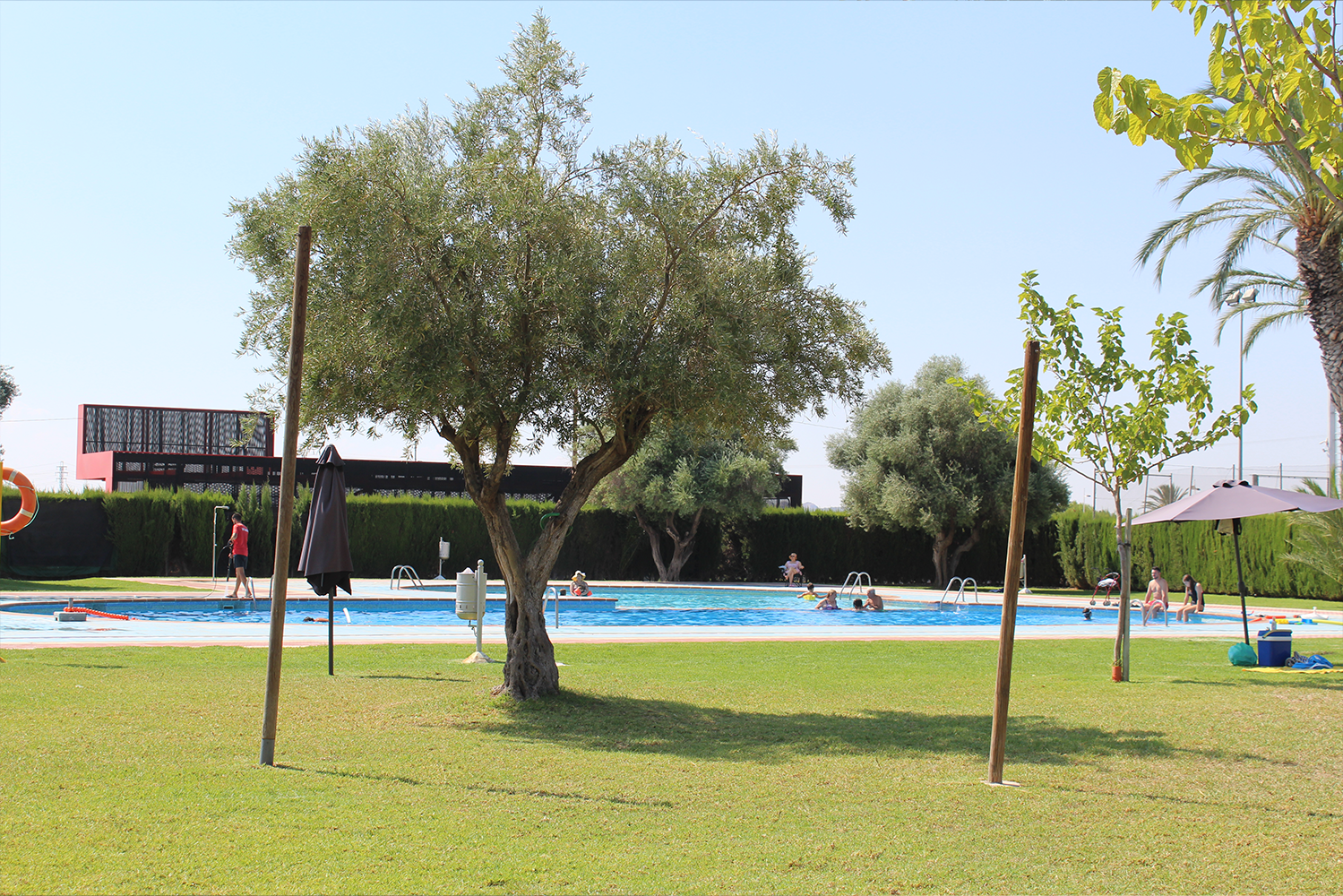 Novelda mejorará el recinto de las piscinas municipales Novelda mejorará el recinto de las piscinas municipales