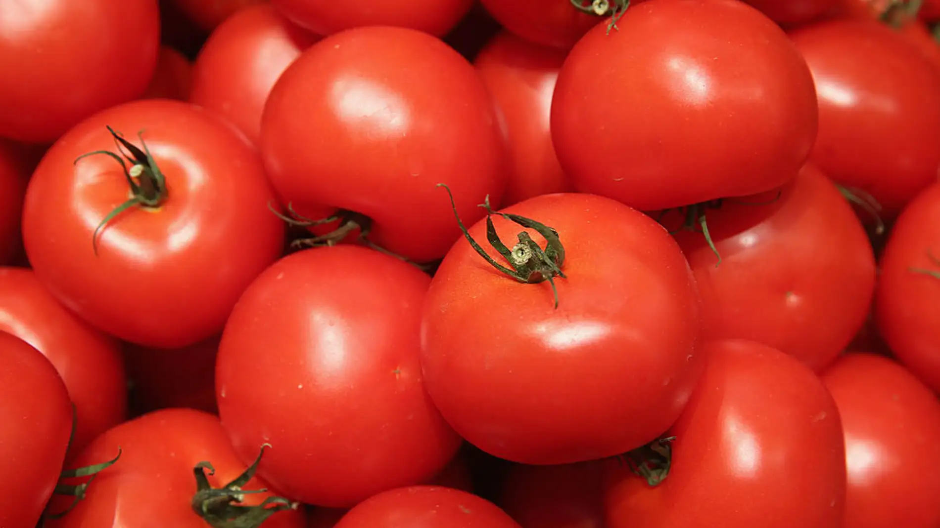 El truco definitivo para que los tomates no maduren 