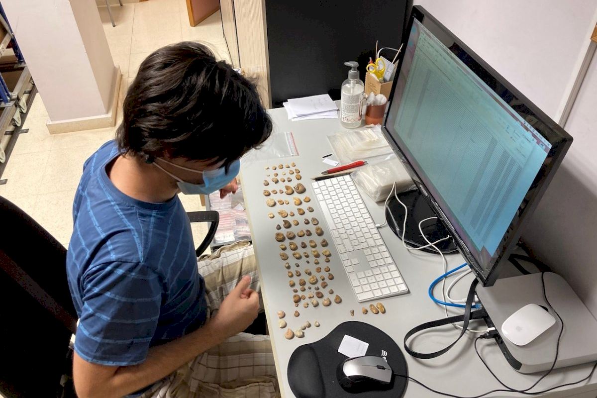 El Museo Paleontológico de Elche recibe una subvención de la Diputación de Alicante para realizar trabajos de inventariado y catalogación El Museo Paleontológico de Elche recibe una subvención de la Diputación de Alicante para realizar trabajos de inventariado y catalogación