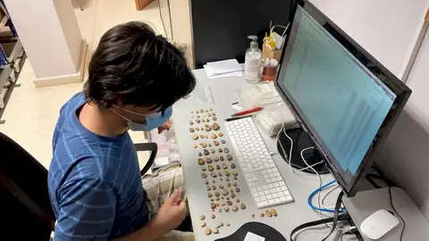Trabajos de inventariado en el MUPE. Trabajos de inventariado en el MUPE.