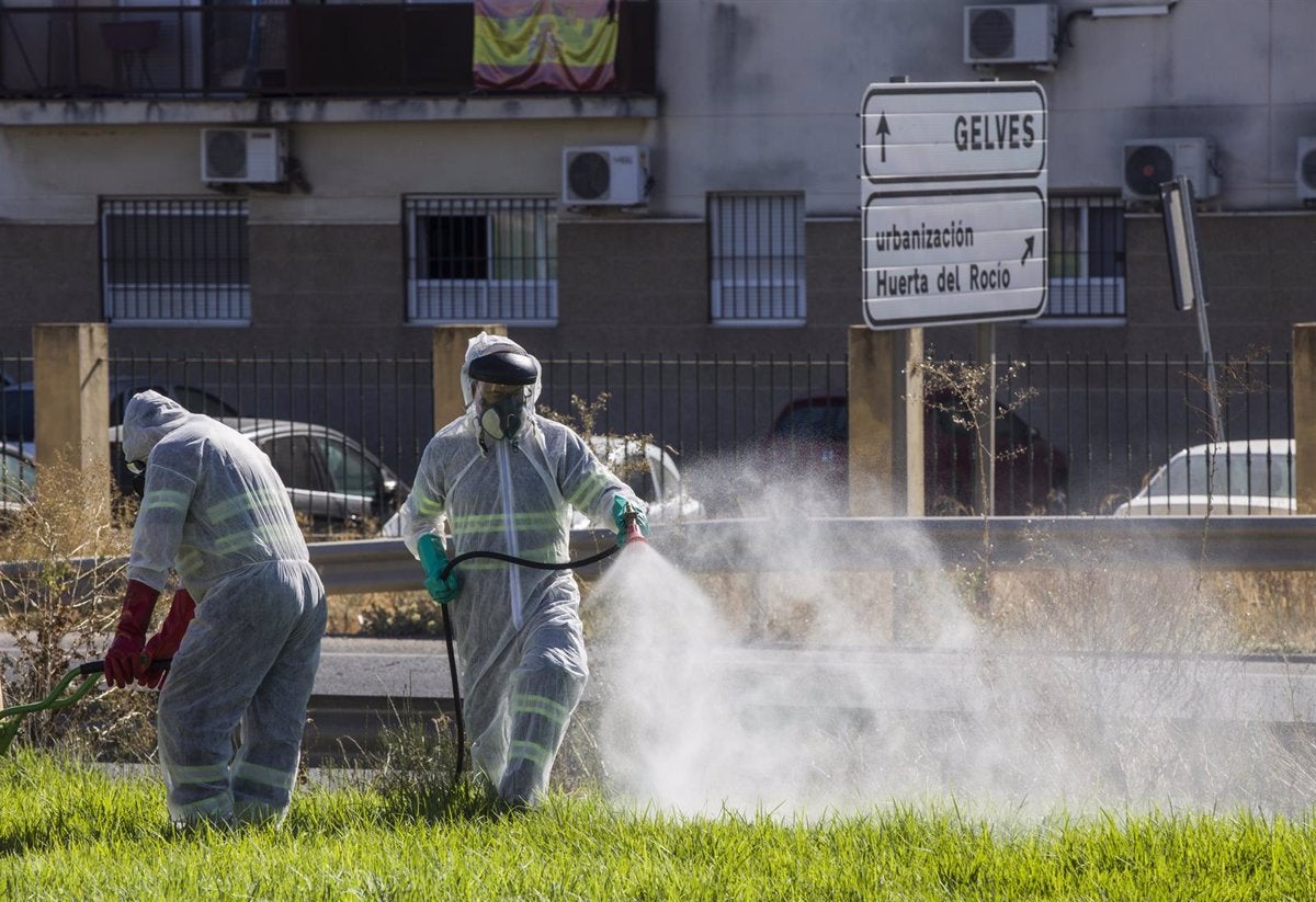 Hospitalizada en Sevilla una menor tras contraer la enfermedad del virus del Nilo en Marruecos Hospitalizada en Sevilla una menor tras contraer la enfermedad del virus del Nilo en Marruecos
