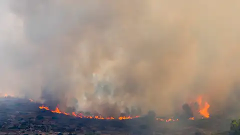 El incendio de Vall d&#39;Ebo se espera dar por controlado este domingo, un día después de lo planeado