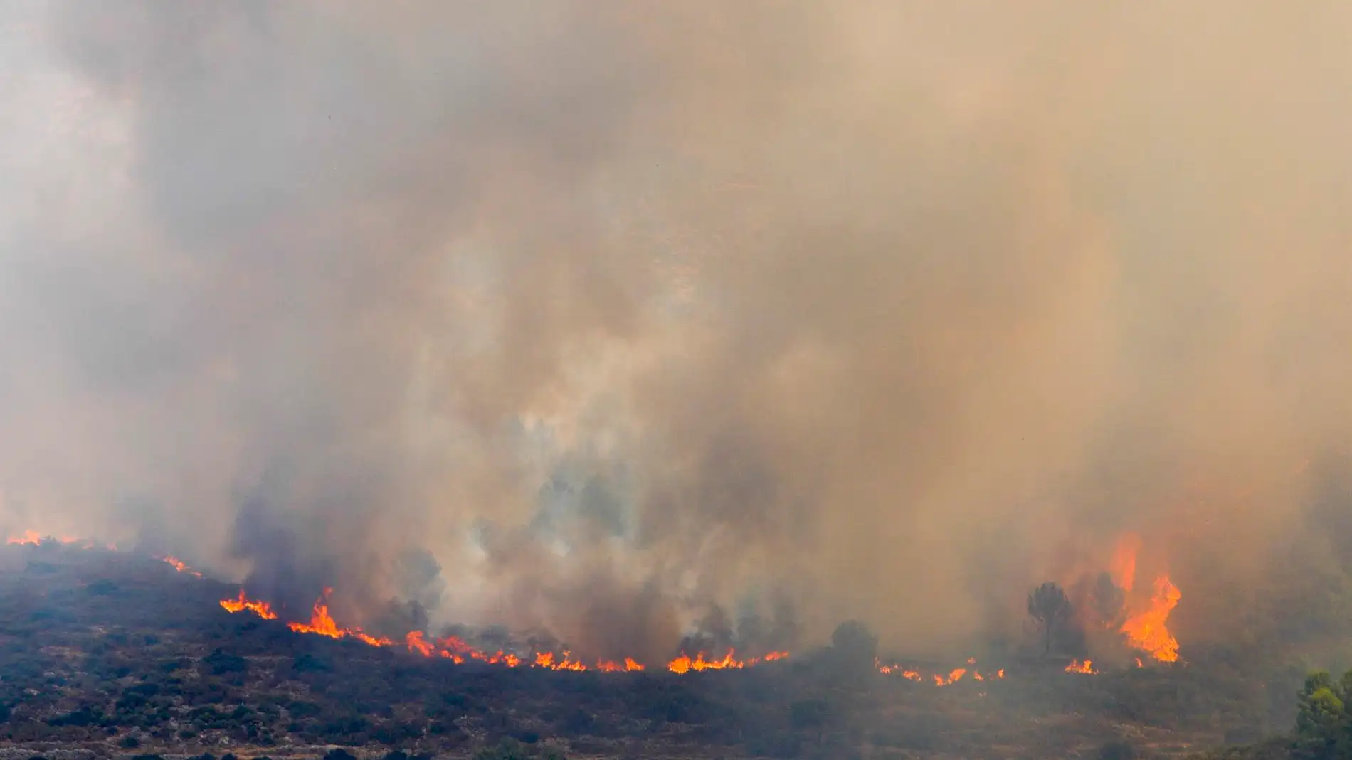 El incendio de Vall d'Ebo se espera dar por controlado este domingo, un día después de lo planeado
