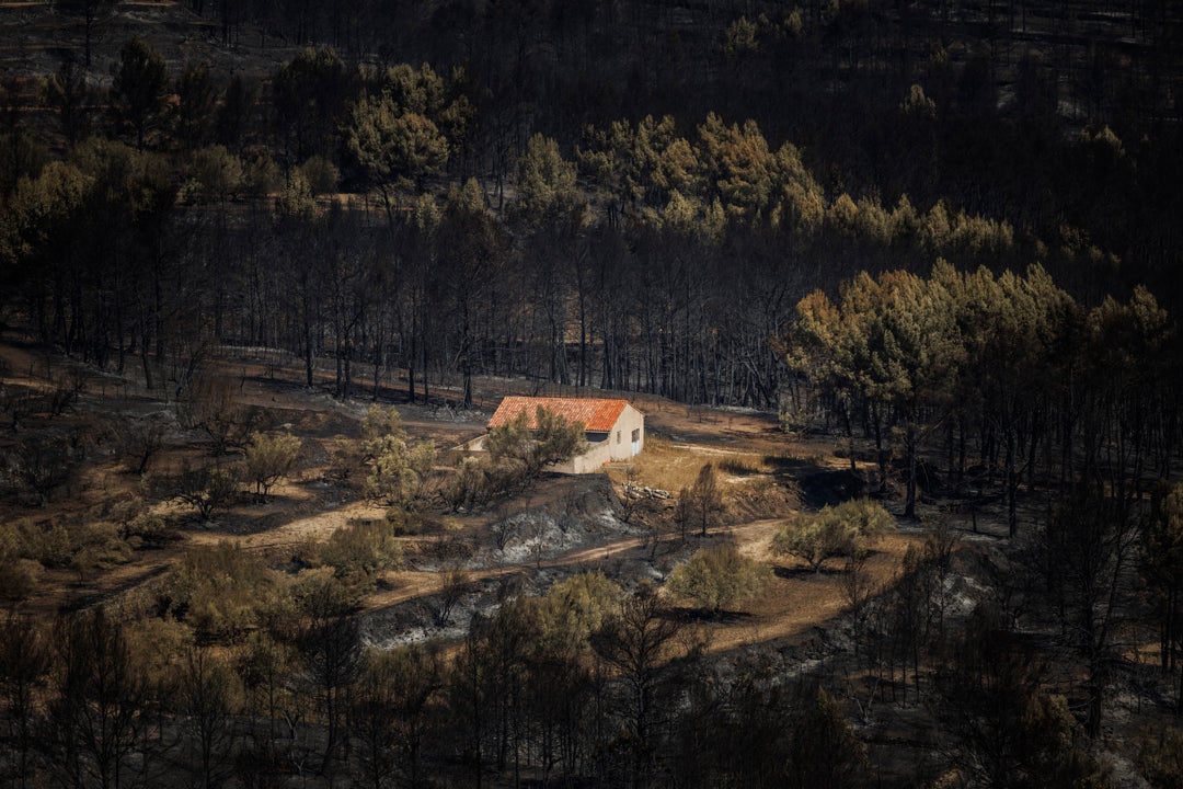 Desarrollan mapas inteligentes para la prevención de incendios Desarrollan mapas inteligentes para la prevención de incendios