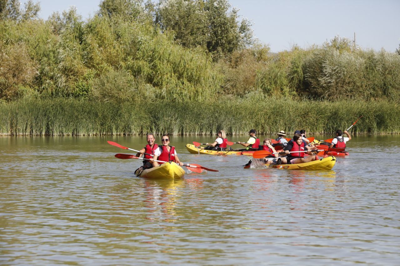 Albás: "Hay máxima lealtad en el Ayuntamiento de Córdoba" Albás: "Hay máxima lealtad en el Ayuntamiento de Córdoba"