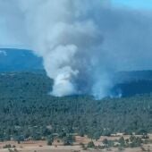 El fuego se ha declarado en el paraje "Laguna de El Navajo"