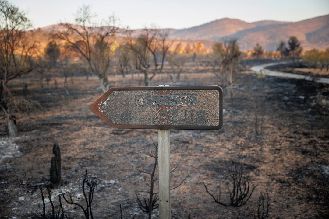 La superficie forestal quemada en 2022 supone casi cuatro veces más que la media de la última década La superficie forestal quemada en 2022 supone casi cuatro veces más que la media de la última década