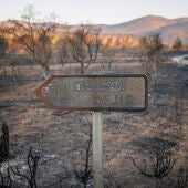La superficie forestal quemada en 2022 supone casi cuatro veces más que la media de la última década