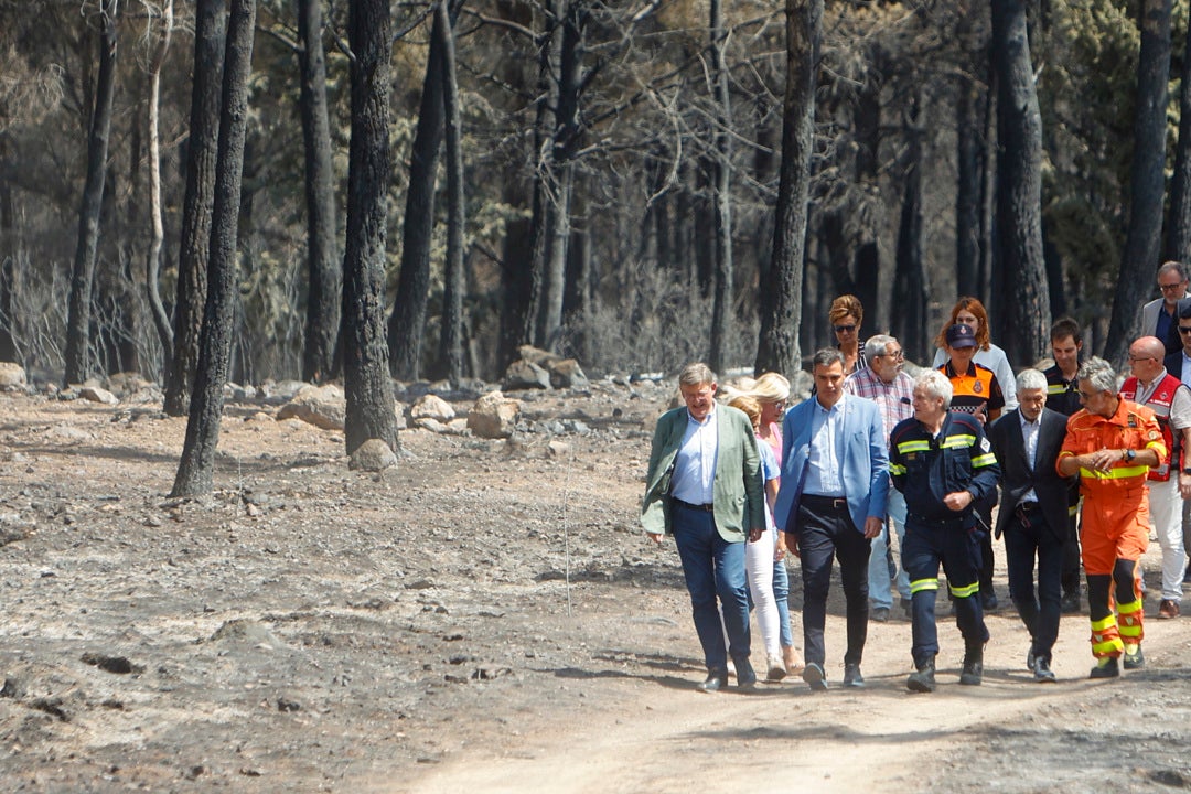 Sánchez anuncia que se declarará como catastrófica las zonas afectadas por los grandes incendios Sánchez anuncia que se declarará como catastrófica las zonas afectadas por los grandes incendios