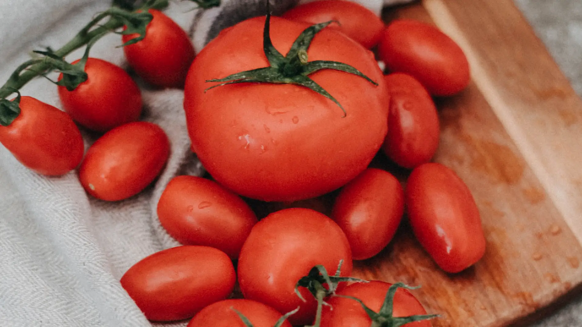 Qué tipos de tomates existen 