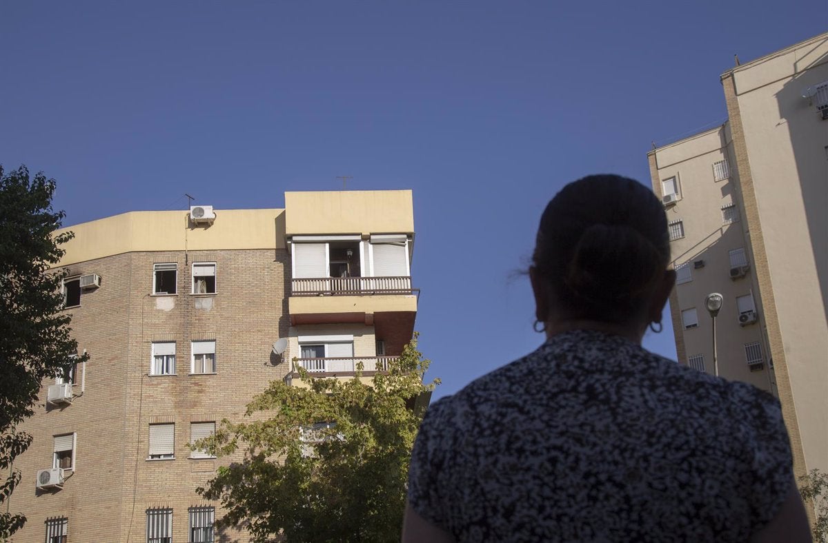 Emvisesa amplía el Plan de Vivienda para aumentar los pisos en alquiler y recoger las VPO de Palmas Altas Emvisesa amplía el Plan de Vivienda para aumentar los pisos en alquiler y recoger las VPO de Palmas Altas