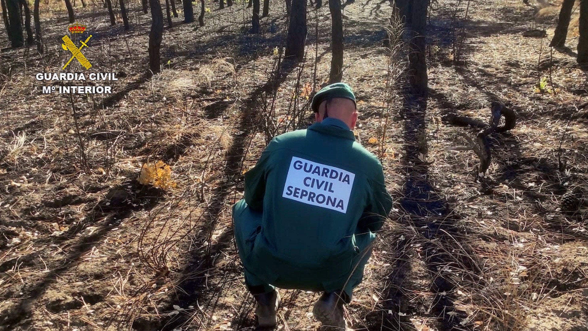 El 34% de la superficie quemada este año en el noroeste peninsular está en Galicia El 34% de la superficie quemada este año en el noroeste peninsular está en Galicia