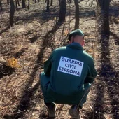 El Seprona investiga a un hombre de 50 años como supuesto responsable de 8 incendios forestales El Seprona investiga a un hombre de 50 años como supuesto responsable de 8 incendios forestales