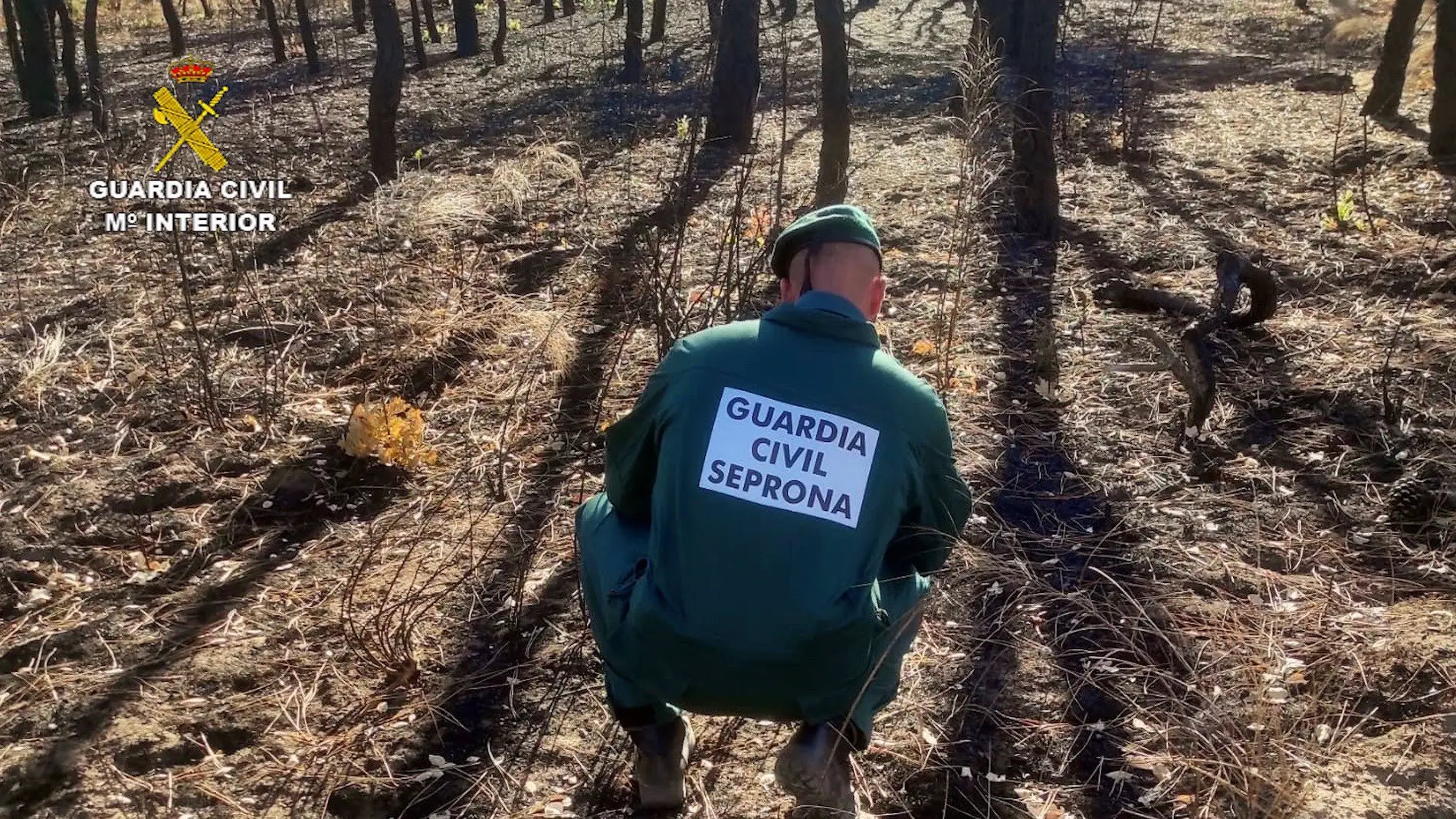 El Seprona investiga a un hombre de 50 años como supuesto responsable de 8 incendios forestales