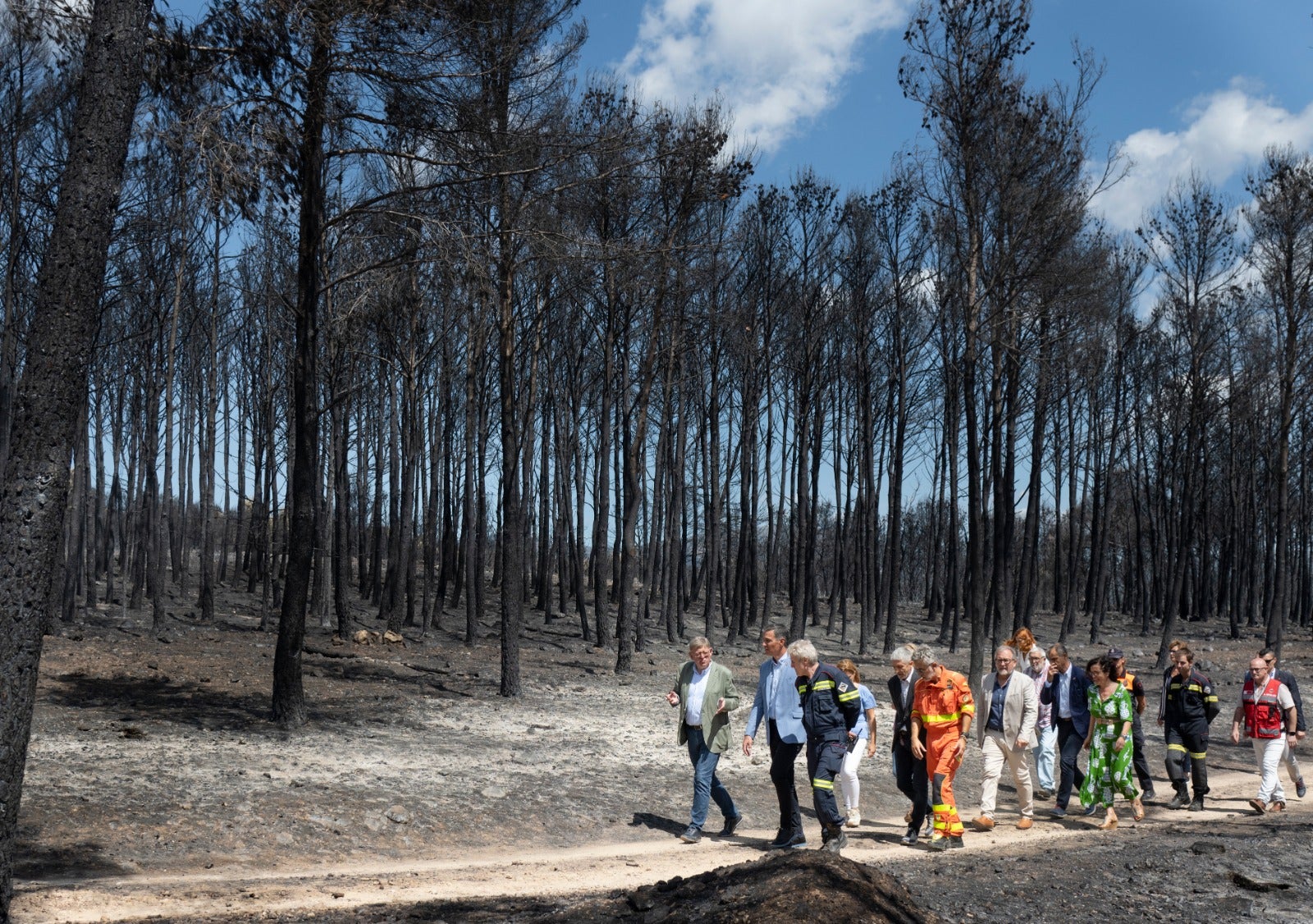 Pedro Sánchez anuncia que los municipios afectados por el fuego serán considerados zona catastrófica Pedro Sánchez anuncia que los municipios afectados por el fuego serán considerados zona catastrófica