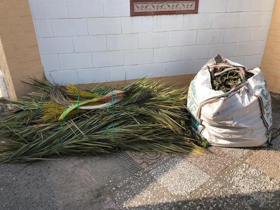 El servicio de recogida de poda en el Camp d’Elx registra más de 200.000 kilos de residuos en tres meses El servicio de recogida de poda en el Camp d’Elx registra más de 200.000 kilos de residuos en tres meses
