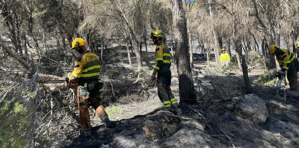 El operativo Infoar prepara las tareas de recuperación forestal El operativo Infoar prepara las tareas de recuperación forestal
