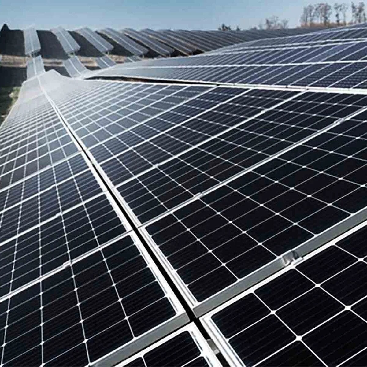 Oleada de críticas al 'no' del Ayuntamiento de Sagunto a las fotovoltaicas de VW Oleada de críticas al 'no' del Ayuntamiento de Sagunto a las fotovoltaicas de VW