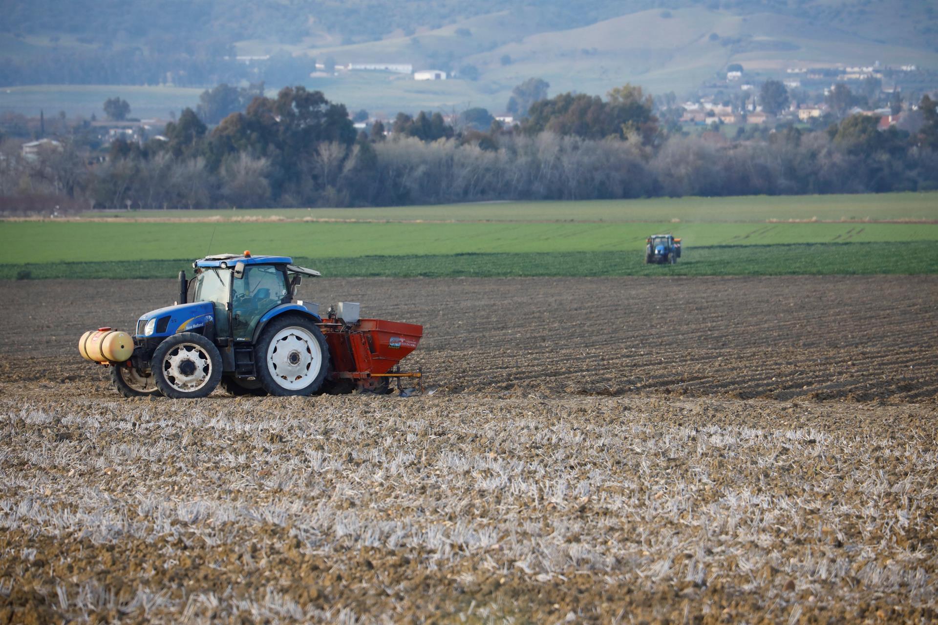 La sequía azota a los cultivos en Álava. La cosecha de cereal se reduce un 40% respecto al año pasado La sequía azota a los cultivos en Álava. La cosecha de cereal se reduce un 40% respecto al año pasado