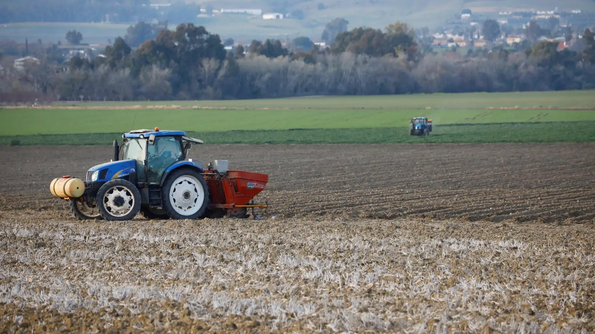 Fraseología suizo Quinto La sequía azota a los cultivos en Álava.La cosecha de cereal se reduce un  40% respecto al año pasado | Onda Cero Radio