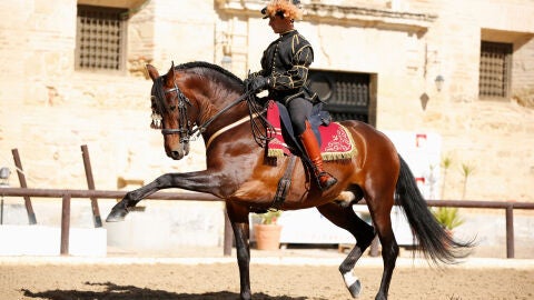 C&oacute;rdoba Ecuestre
