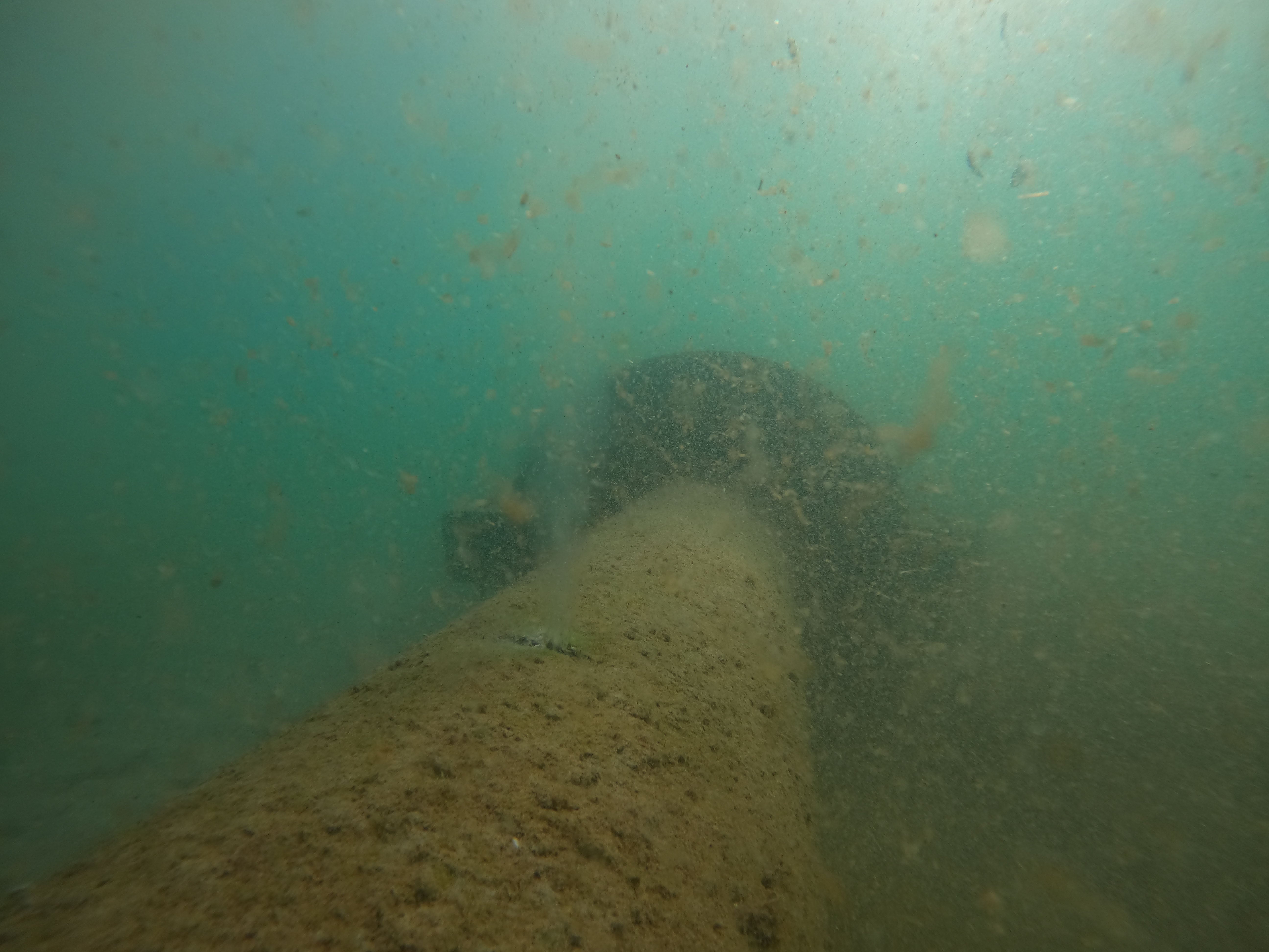 Anse denuncia el vertido al Mediterráneo de aguas residuales sin depurar procedentes de La Manga Anse denuncia el vertido al Mediterráneo de aguas residuales sin depurar procedentes de La Manga