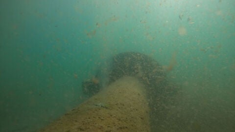Anse denuncia el vertido al Mediterráneo de aguas residuales sin depurar procedentes de La Manga Anse denuncia el vertido al Mediterráneo de aguas residuales sin depurar procedentes de La Manga