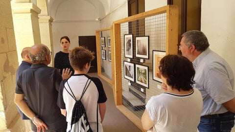 Inauguraci&oacute;n de la exposici&oacute;n fotogr&aacute;fica 'La mirada de AFELX'.