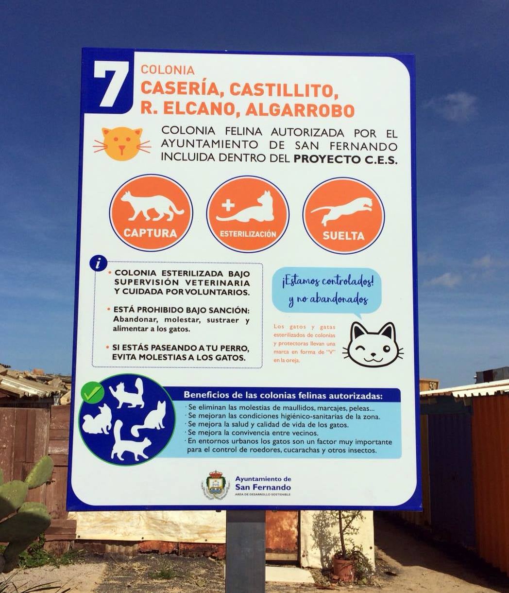 San Fernando lanza un nuevo contrato para mejorar el control de colonias felinas San Fernando lanza un nuevo contrato para mejorar el control de colonias felinas