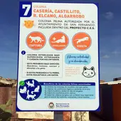 Una de las colonias felinas de San Fernando Una de las colonias felinas de San Fernando