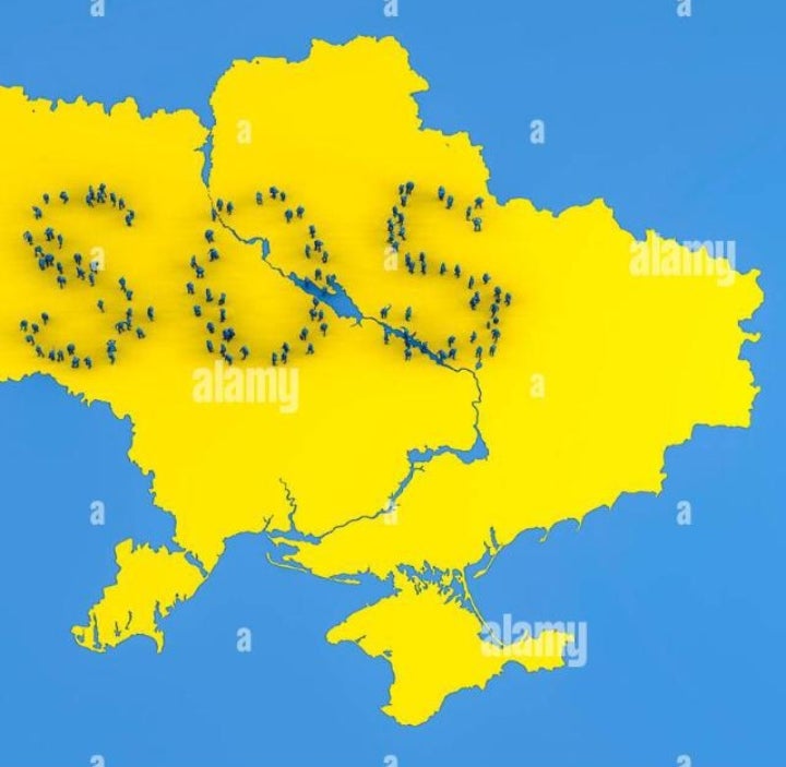 Un año de resistencia y sufrimiento del que hablamos con Anfisa Un año de resistencia y sufrimiento del que hablamos con Anfisa