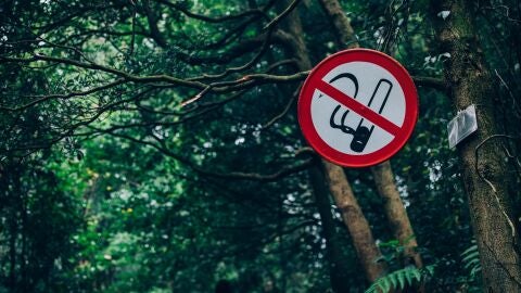Asociaci&oacute;n de no fumadores pide la prohibici&oacute;n de fumar en parques nacionales/ Unsplash